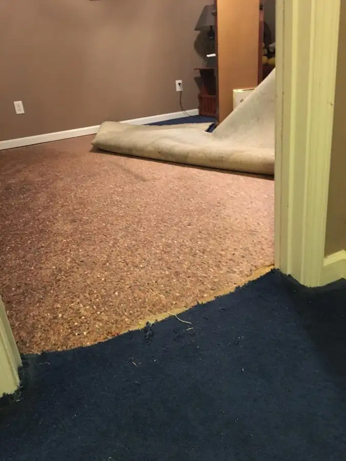 Carpet pad removal revealing water damage during Water Mitigation Services in Dock Junction