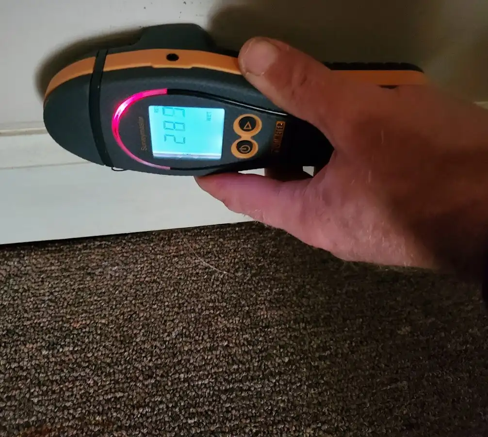 Moisture detection at baseboard during Burst Pipe Cleanup in Dock Junction